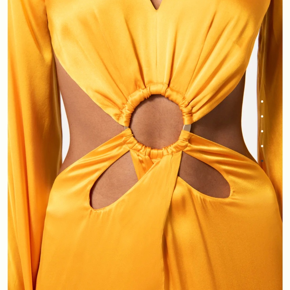 Cult Gaia Jasmin Gown